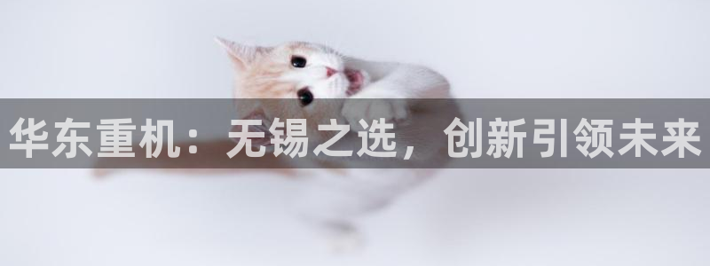 万事平台娱乐