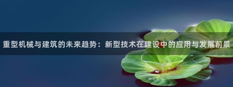 万事达娱乐登陆