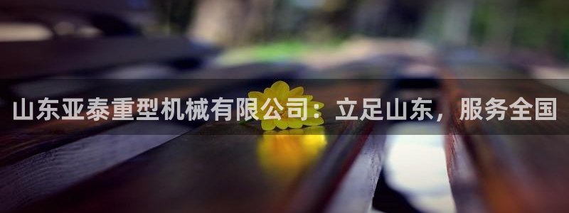 万事达娱乐股东