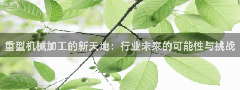 万事娱乐下载手机版