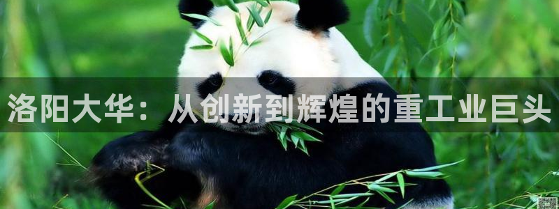 万事达娱乐P妙441200
