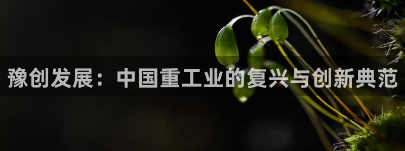 万事娱乐地址查询