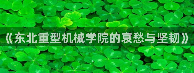娱乐万事达