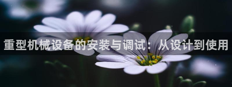 万事达娱乐登陆