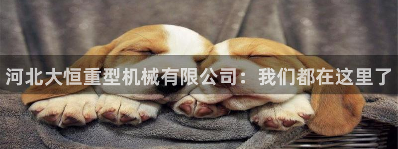 万事娱乐是什么