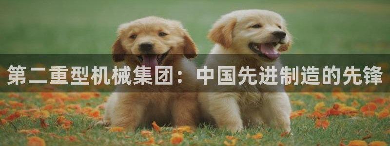 万事达娱乐官网