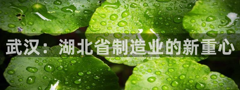 万事达娱乐首页