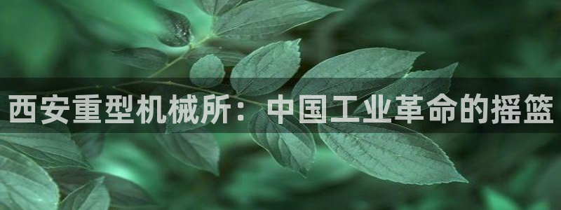 万事娱乐测速软件下载