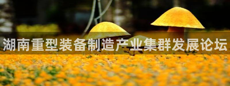 万事娱乐官网下载安卓