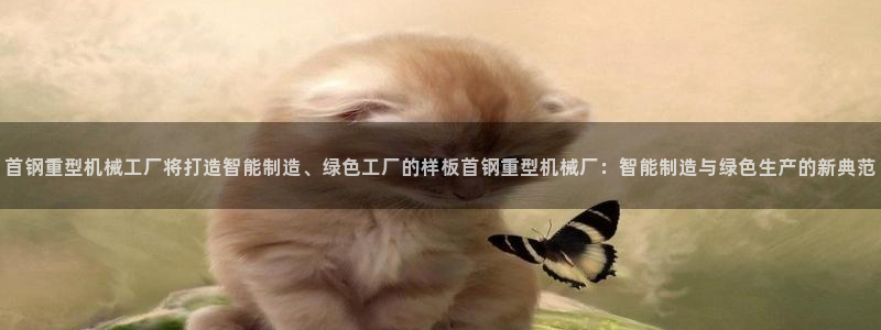 万事达娱乐网址