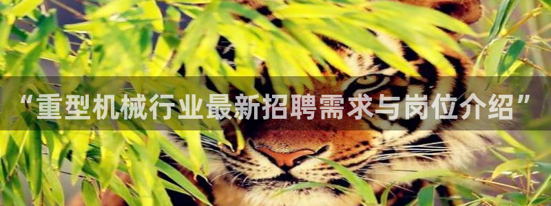 万事娱乐主管薪资多少