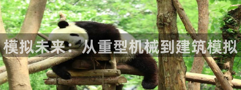 万事达娱乐代理