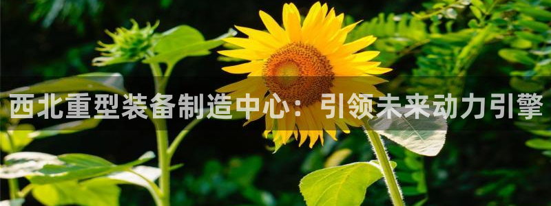 万事娱乐怎么分享