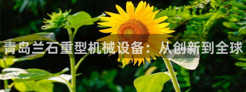 万事博娱乐赌城