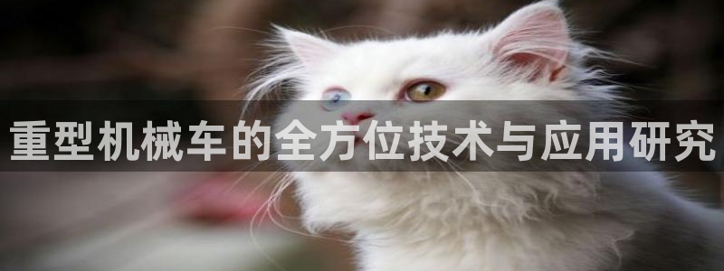 万事娱乐主管招聘信息