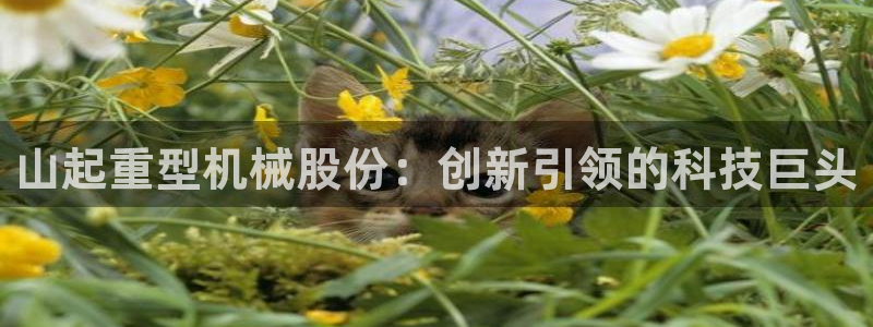 万事达娱乐闻21000