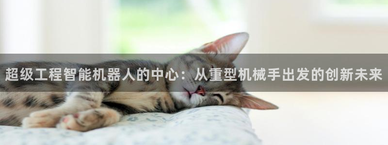 万事娱乐地址在哪里