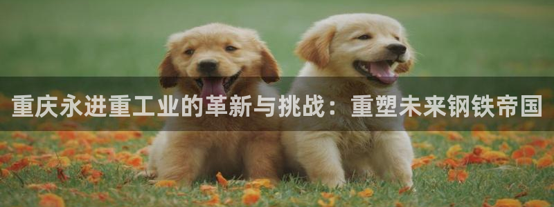 万事达娱乐 招商