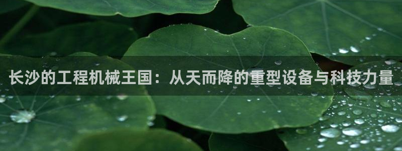 万事娱乐下载地址