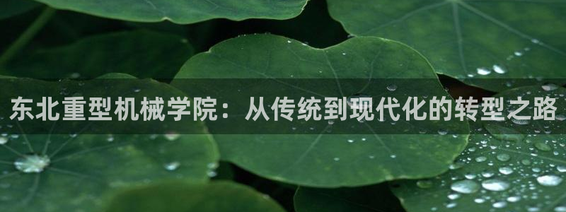 万事娱乐的介绍