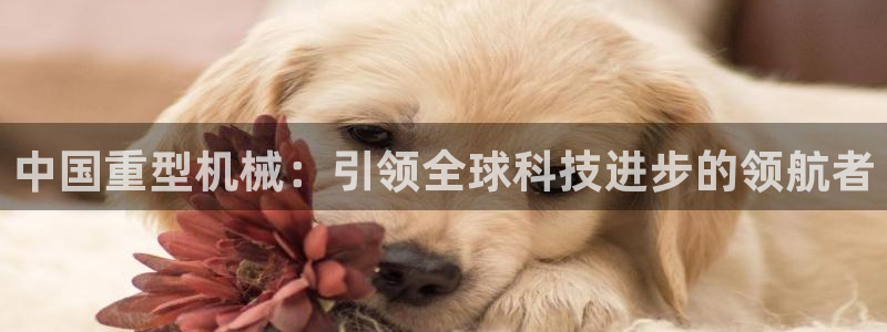 万事皆娱乐