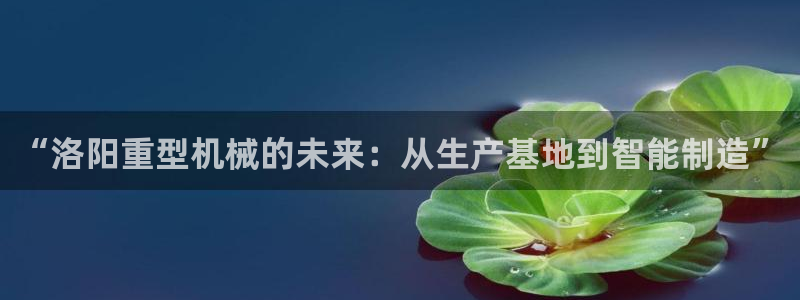 万事达娱乐董善良