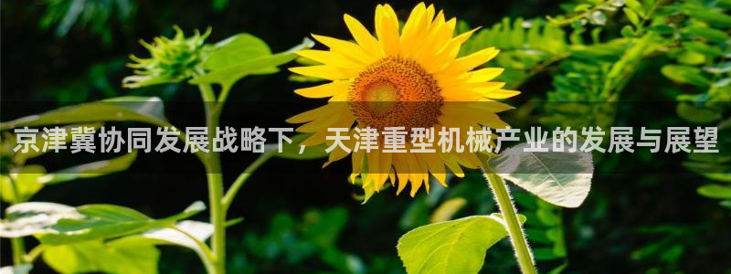 娱乐万事通焦作