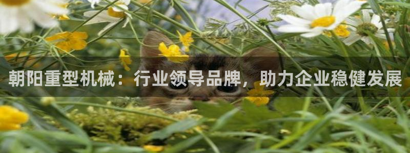 万事顺娱乐传媒