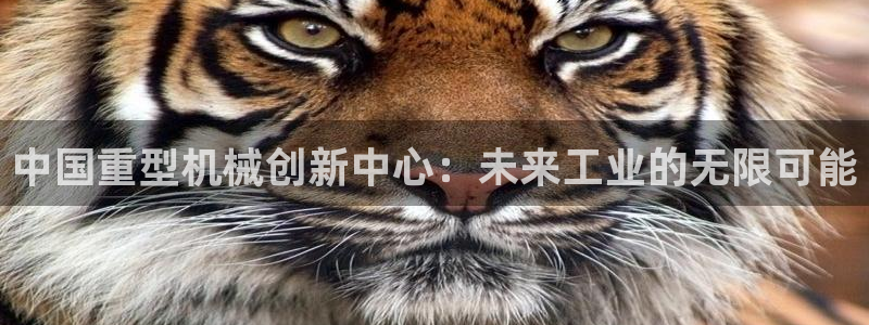 万事达娱乐 39444