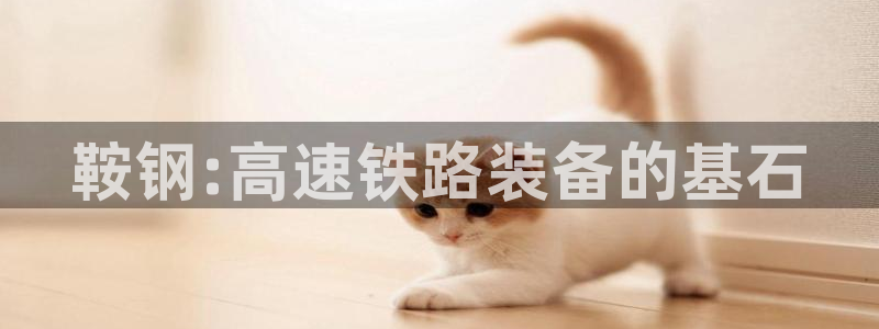 万事娱乐官网下载