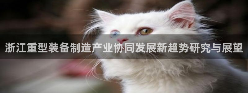 万事娱乐代理加盟条件