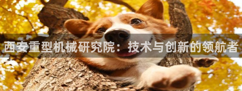 跟万事娱乐一样的平台