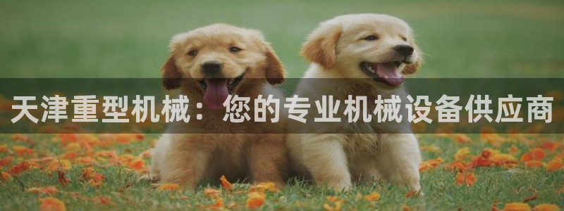 万事娱乐招商信息