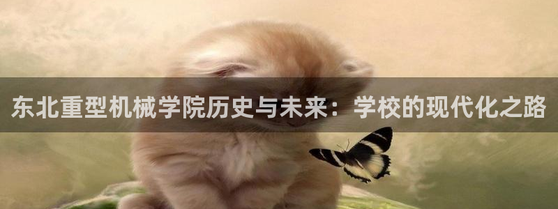 万事达娱乐b 判官