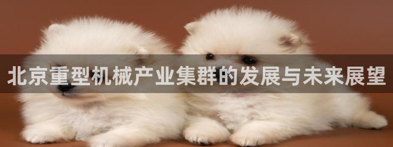 万事达娱乐指尖之