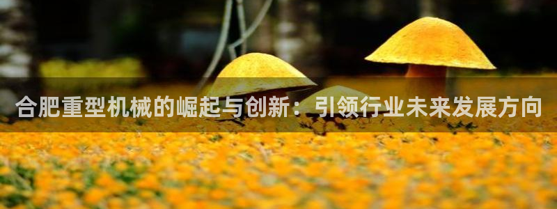 万事达娱乐 直 招