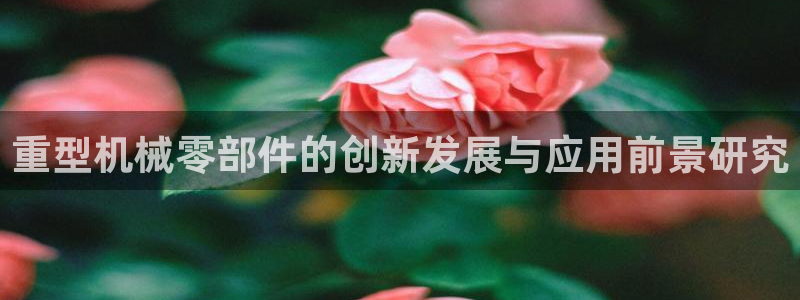 万事达娱乐网址