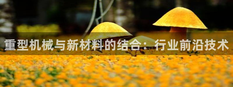 万事娱乐首页入口网址