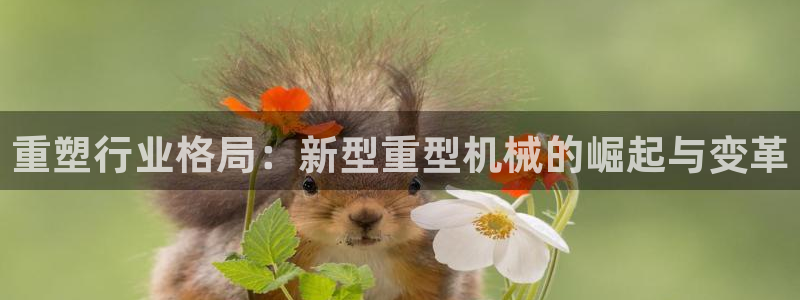 万事达娱乐唐善良