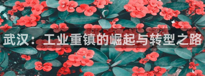 万事娱乐主管年薪多少万