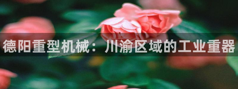 万事娱乐下载地址查询