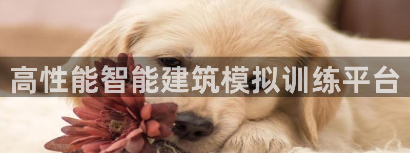 万事娱乐会所
