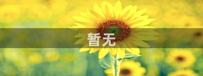 万事娱乐代理加盟条件